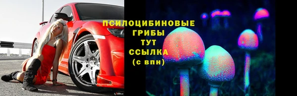 ешки Алексеевка