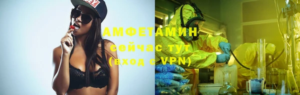 крисы Алзамай