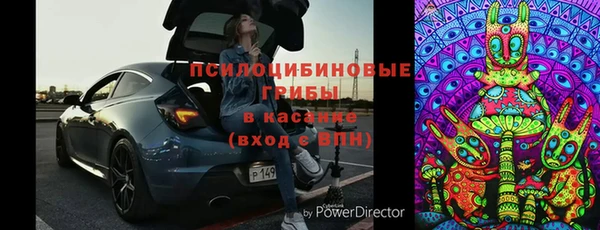 крисы Алзамай